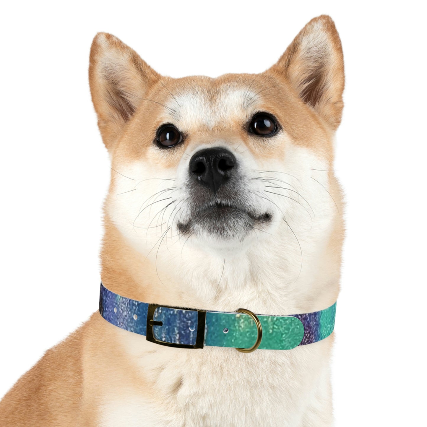 Simply BlueDog Collar