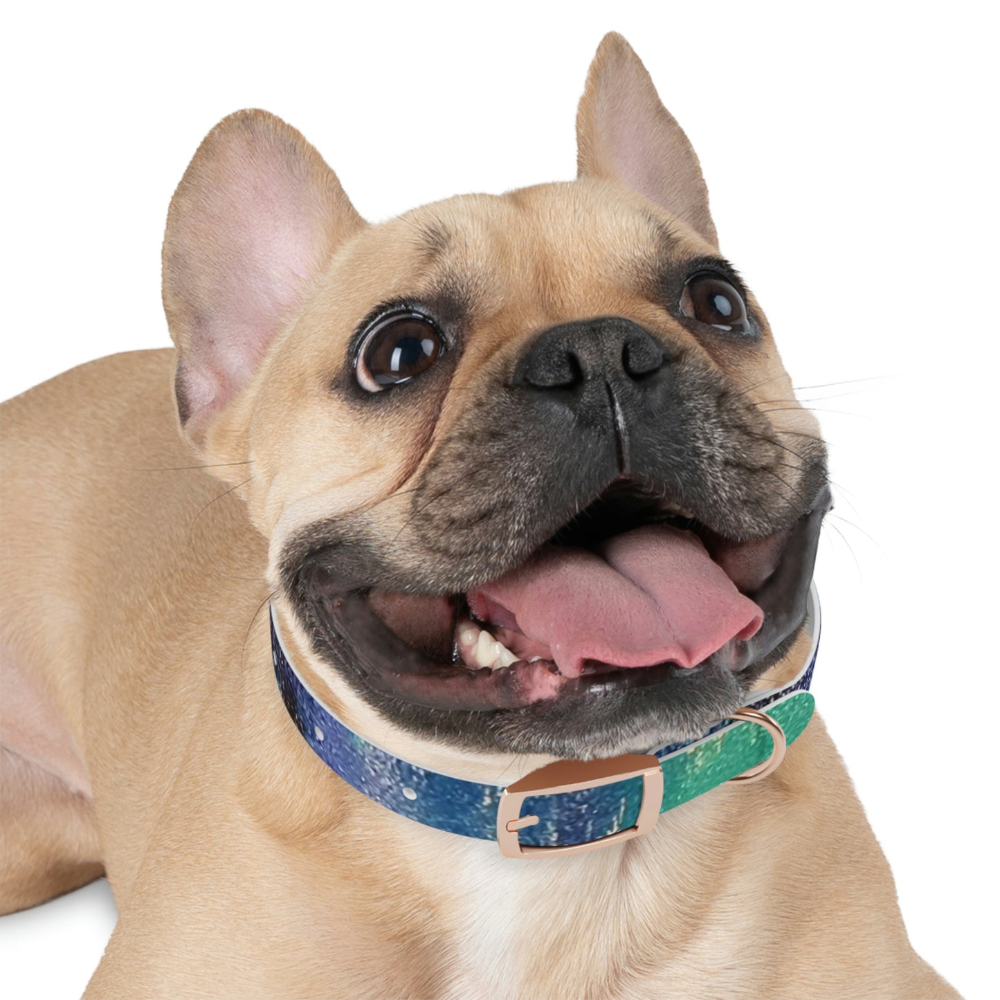 Simply BlueDog Collar