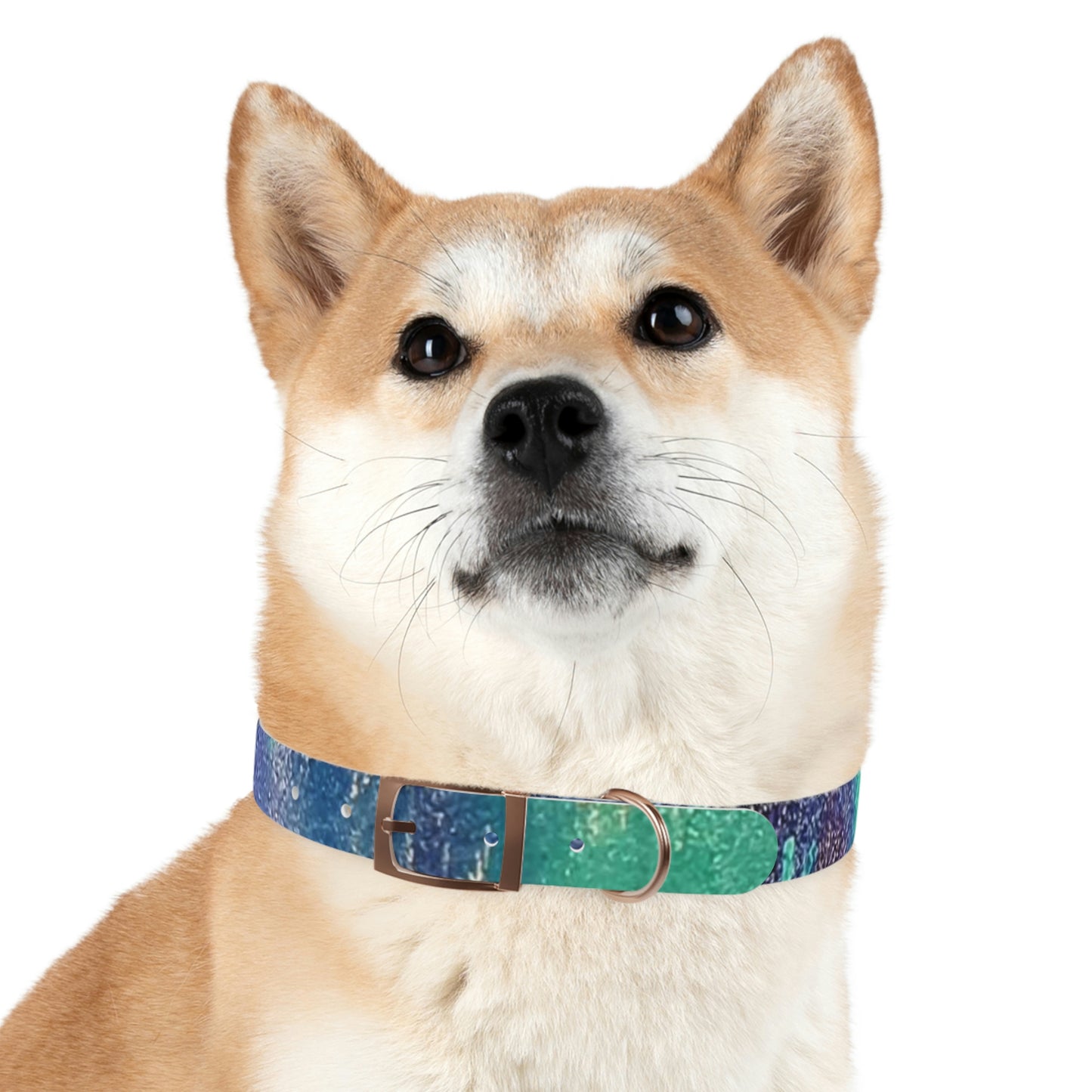 Simply BlueDog Collar