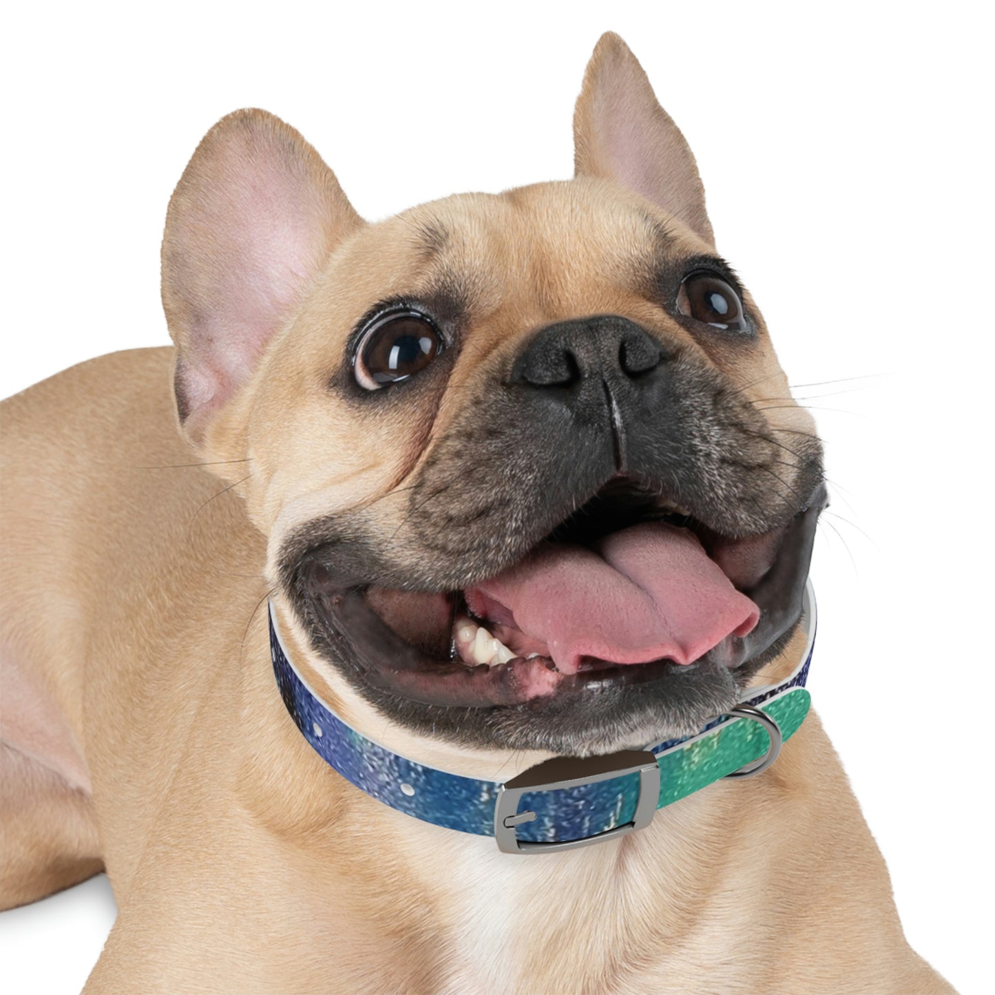 Simply BlueDog Collar