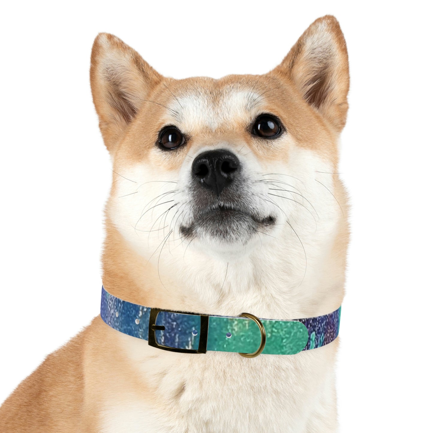 Simply BlueDog Collar