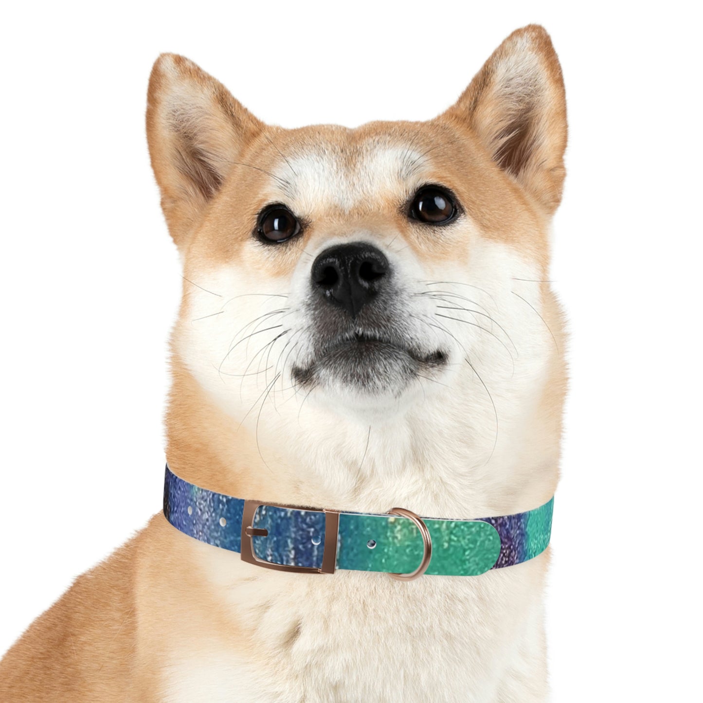 Simply BlueDog Collar