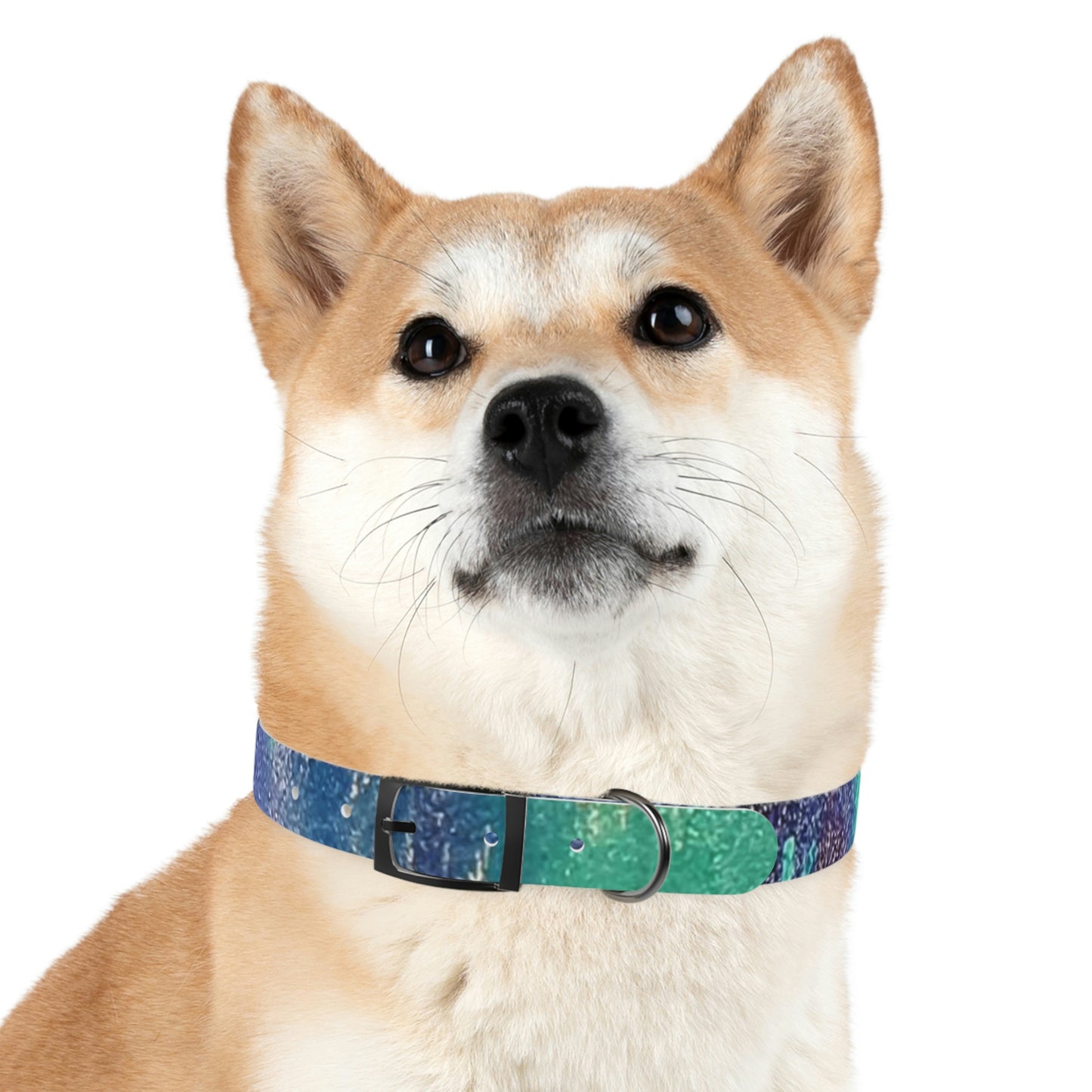 Simply BlueDog Collar