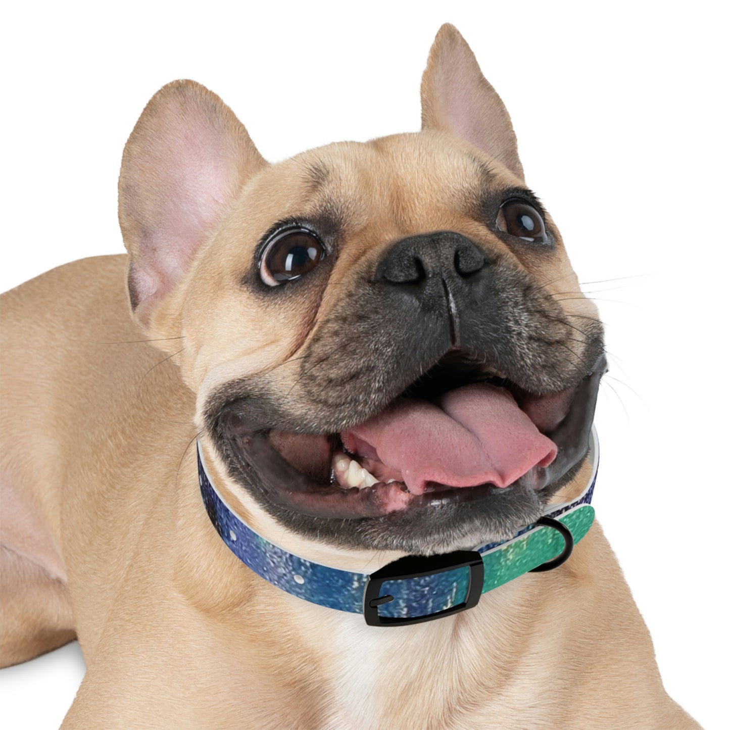 Simply BlueDog Collar